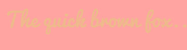Image with Font Color EEBA8C and Background Color FFA4A0